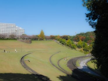 公園