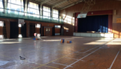 学校4｜教室･体育館･校庭･職員室･屋上･グラウンド