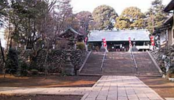 街の中心にある緑豊かな神社(2053)｜社殿･参道･鳥居