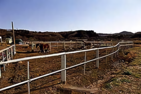 日高市の牧場(2057)｜畜舎･放牧場･サイロ