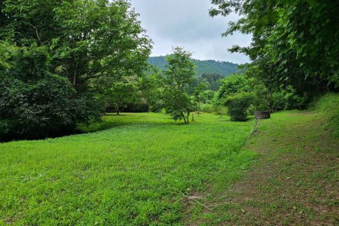 撮影可能な野原【まきのした山】｜穴掘り･火気･建込み･ﾈｶﾞﾃｨﾌﾞ･広い敷地･庭｜東京