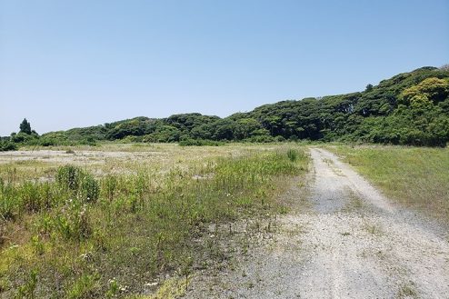 広大な空き地･山道｜セット建込み･穴掘り･私道･24時間･走行