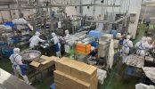 ソース工場･直売所(2580)｜平日･工場見学･通路･倉庫･体験工房･直売所･祠･蔵･森｜東京