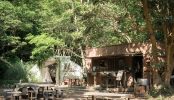 山を貸切った秘密基地のような農園(25125)｜畑･ﾚｽﾄﾗﾝ･ﾈｶﾞﾃｨﾌﾞ･穴掘り･建込み･火気･24時間