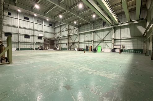 2.ペンギンスタジオ