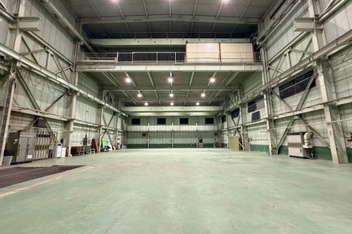 3.ペンギンスタジオ