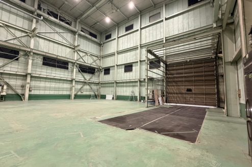 5.ペンギンスタジオ