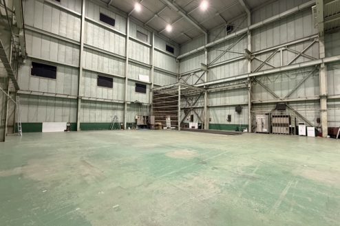 6.ペンギンスタジオ