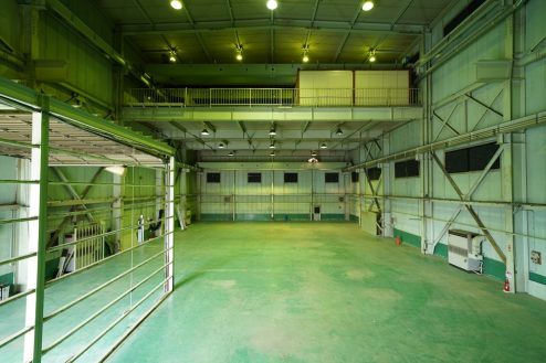 7.ペンギンスタジオ