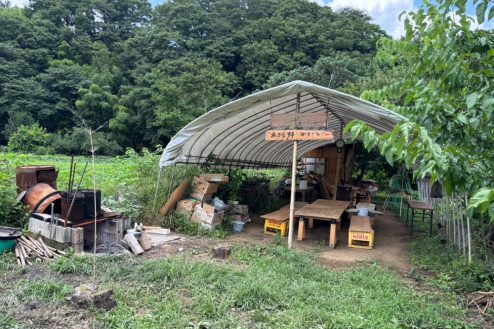 小川に隣接する田んぼとビニールハウス(25134)｜自然･清流･農業･農家･田園｜東京