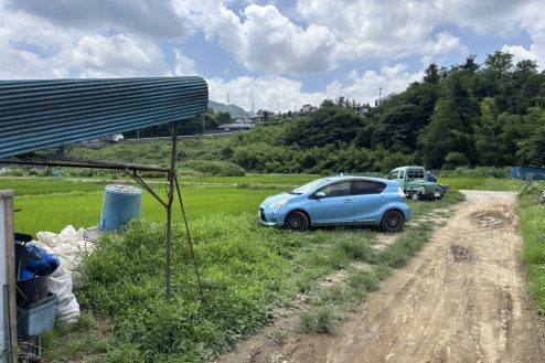 13.小川に隣接する田んぼとビニールハウス