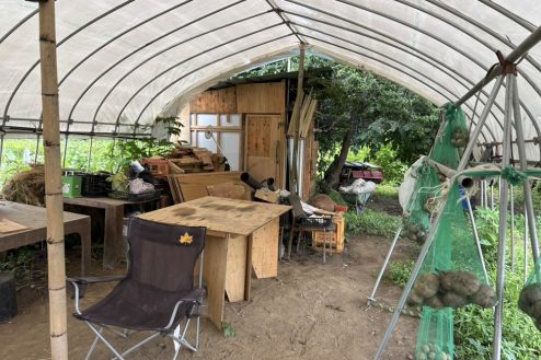 2.小川に隣接する田んぼとビニールハウス