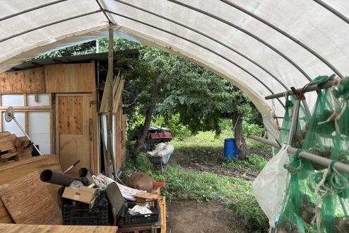 3.小川に隣接する田んぼとビニールハウス