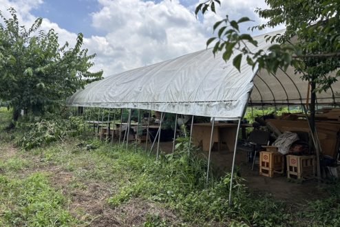 4.小川に隣接する田んぼとビニールハウス