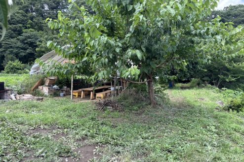 5.小川に隣接する田んぼとビニールハウス