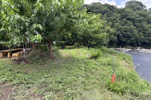 6.小川に隣接する田んぼとビニールハウス