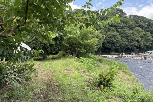 7.小川に隣接する田んぼとビニールハウス