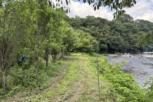 8.小川に隣接する田んぼとビニールハウス