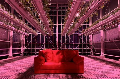 3.次世代型いちごハウス