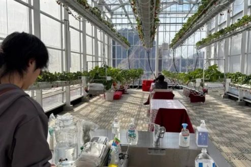 4.次世代型いちごハウス