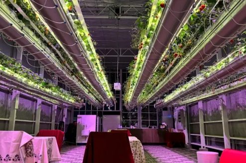 5.次世代型いちごハウス