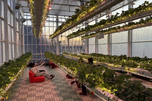 6.次世代型いちごハウス